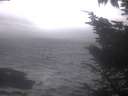 ./images/koeye/fitz-hugh/20241002/fitz-hugh20241002_072001.jpg