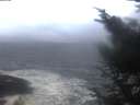 ./images/koeye/fitz-hugh/20241002/fitz-hugh20241002_080501.jpg