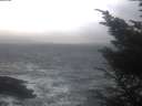 ./images/koeye/fitz-hugh/20241002/fitz-hugh20241002_082001.jpg