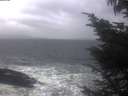 ./images/koeye/fitz-hugh/20241002/fitz-hugh20241002_090002.jpg