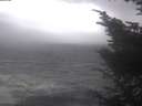 ./images/koeye/fitz-hugh/20241002/fitz-hugh20241002_114001.jpg