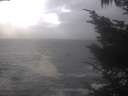 ./images/koeye/fitz-hugh/20241002/fitz-hugh20241002_151502.jpg