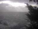 ./images/koeye/fitz-hugh/20241002/fitz-hugh20241002_160002.jpg