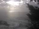 ./images/koeye/fitz-hugh/20241002/fitz-hugh20241002_165501.jpg