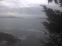./images/koeye/fitz-hugh/20241003/fitz-hugh20241003_085001.jpg