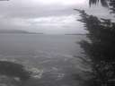 ./images/koeye/fitz-hugh/20241003/fitz-hugh20241003_094502.jpg