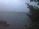 ./images/koeye/fitz-hugh/20241004/fitz-hugh20241004_070502.jpg
