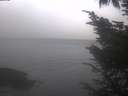 ./images/koeye/fitz-hugh/20241004/fitz-hugh20241004_084501.jpg