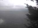 ./images/koeye/fitz-hugh/20241004/fitz-hugh20241004_131502.jpg