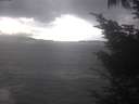 ./images/koeye/fitz-hugh/20241004/fitz-hugh20241004_145502.jpg