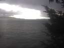 ./images/koeye/fitz-hugh/20241004/fitz-hugh20241004_153501.jpg