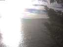 ./images/koeye/fitz-hugh/20241004/fitz-hugh20241004_163501.jpg