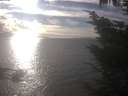 ./images/koeye/fitz-hugh/20241004/fitz-hugh20241004_164001.jpg