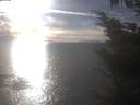 ./images/koeye/fitz-hugh/20241004/fitz-hugh20241004_164502.jpg