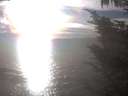 ./images/koeye/fitz-hugh/20241004/fitz-hugh20241004_170002.jpg