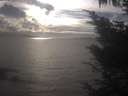 ./images/koeye/fitz-hugh/20241004/fitz-hugh20241004_171002.jpg