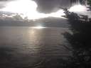 ./images/koeye/fitz-hugh/20241004/fitz-hugh20241004_174002.jpg