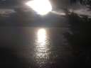 ./images/koeye/fitz-hugh/20241004/fitz-hugh20241004_174502.jpg
