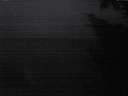 ./images/koeye/fitz-hugh/20241005/fitz-hugh20241005_070003.jpg