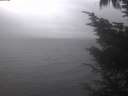 ./images/koeye/fitz-hugh/20241005/fitz-hugh20241005_154502.jpg