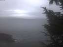./images/koeye/fitz-hugh/20241006/fitz-hugh20241006_072501.jpg