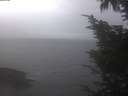 ./images/koeye/fitz-hugh/20241006/fitz-hugh20241006_090502.jpg