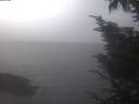 ./images/koeye/fitz-hugh/20241006/fitz-hugh20241006_092502.jpg