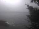 ./images/koeye/fitz-hugh/20241006/fitz-hugh20241006_093002.jpg