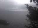 ./images/koeye/fitz-hugh/20241006/fitz-hugh20241006_102501.jpg