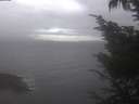 ./images/koeye/fitz-hugh/20241006/fitz-hugh20241006_112501.jpg