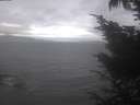 ./images/koeye/fitz-hugh/20241006/fitz-hugh20241006_123002.jpg
