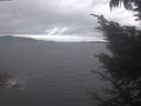 ./images/koeye/fitz-hugh/20241006/fitz-hugh20241006_124002.jpg
