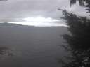 ./images/koeye/fitz-hugh/20241006/fitz-hugh20241006_124502.jpg