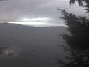 ./images/koeye/fitz-hugh/20241006/fitz-hugh20241006_125002.jpg