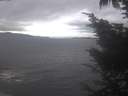 ./images/koeye/fitz-hugh/20241006/fitz-hugh20241006_130002.jpg