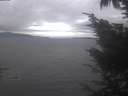 ./images/koeye/fitz-hugh/20241006/fitz-hugh20241006_130502.jpg