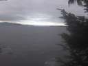 ./images/koeye/fitz-hugh/20241006/fitz-hugh20241006_131501.jpg