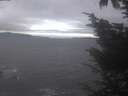 ./images/koeye/fitz-hugh/20241006/fitz-hugh20241006_132001.jpg