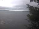 ./images/koeye/fitz-hugh/20241006/fitz-hugh20241006_133501.jpg