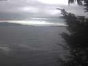 ./images/koeye/fitz-hugh/20241006/fitz-hugh20241006_142001.jpg