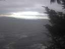 ./images/koeye/fitz-hugh/20241006/fitz-hugh20241006_143002.jpg