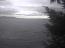 ./images/koeye/fitz-hugh/20241006/fitz-hugh20241006_144002.jpg