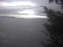 ./images/koeye/fitz-hugh/20241006/fitz-hugh20241006_144502.jpg