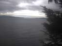 ./images/koeye/fitz-hugh/20241006/fitz-hugh20241006_145502.jpg