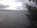 ./images/koeye/fitz-hugh/20241006/fitz-hugh20241006_153502.jpg