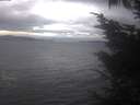./images/koeye/fitz-hugh/20241006/fitz-hugh20241006_155502.jpg
