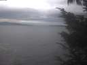 ./images/koeye/fitz-hugh/20241006/fitz-hugh20241006_161002.jpg