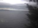 ./images/koeye/fitz-hugh/20241006/fitz-hugh20241006_161502.jpg