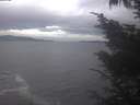 ./images/koeye/fitz-hugh/20241006/fitz-hugh20241006_162501.jpg