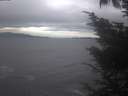 ./images/koeye/fitz-hugh/20241006/fitz-hugh20241006_164501.jpg